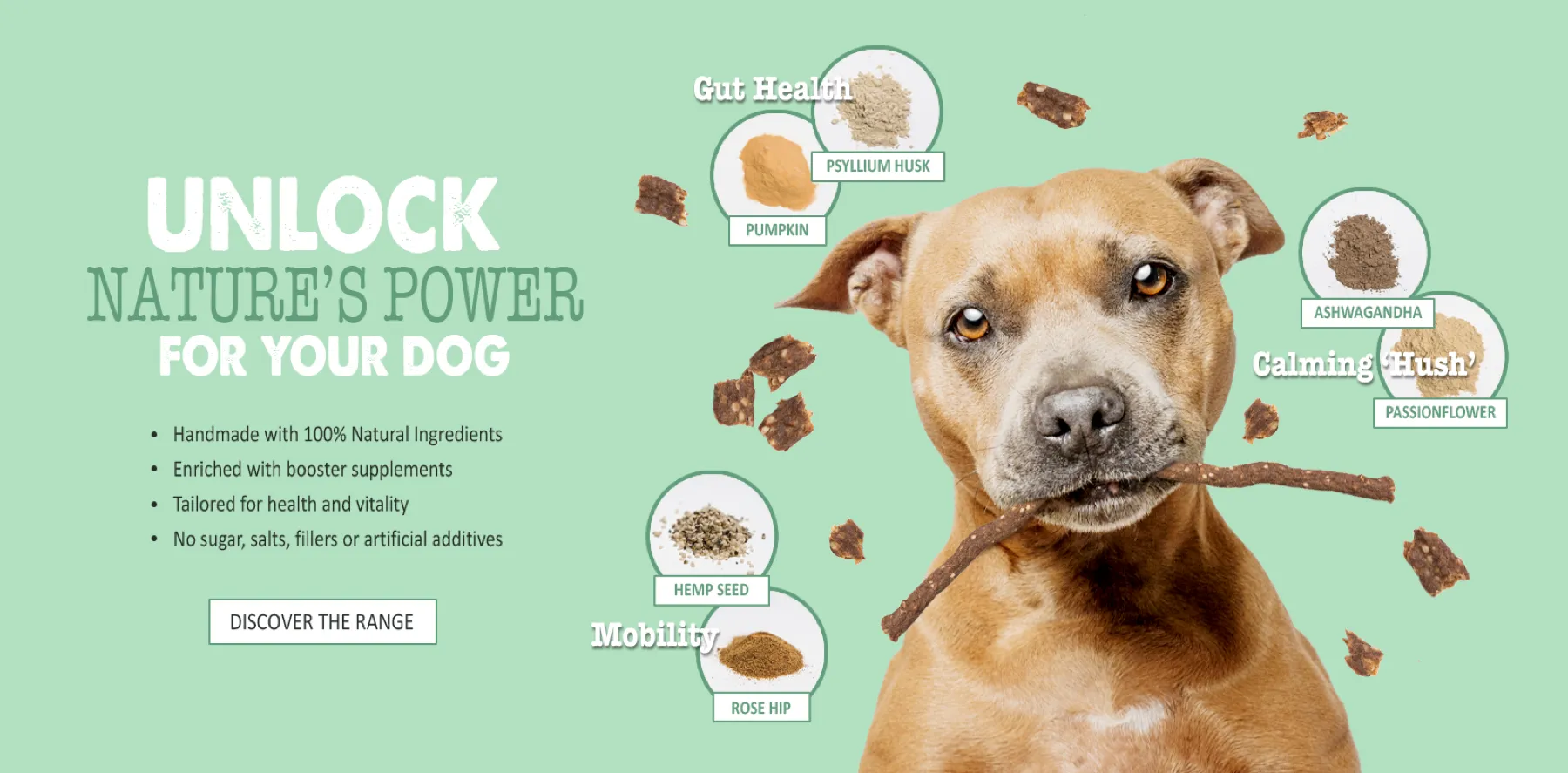 The website banner, with Lexie and the ingredient callouts.
