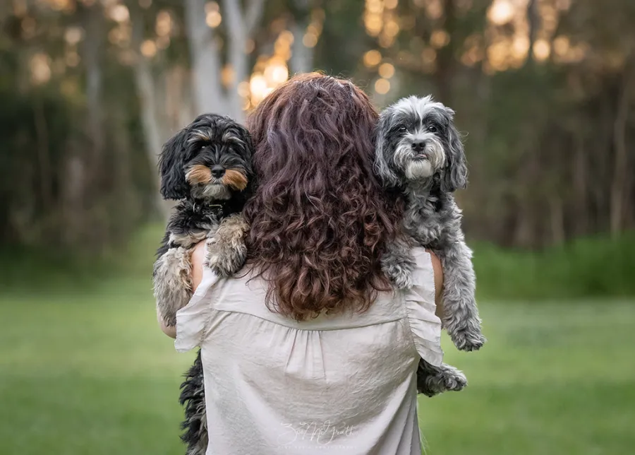 Dog portrait