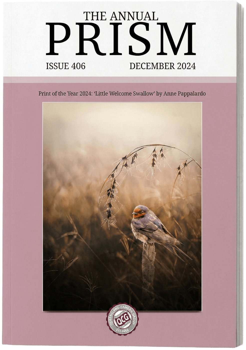 Prism Magazine Issue 406